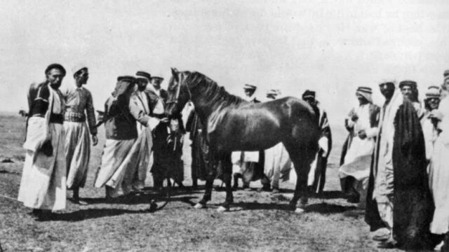 Honoring the Arabian Horse